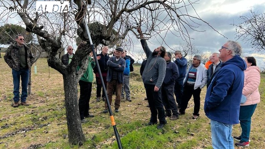 Lumbrales acoge este sábado un taller práctico de poda e injerto de frutales