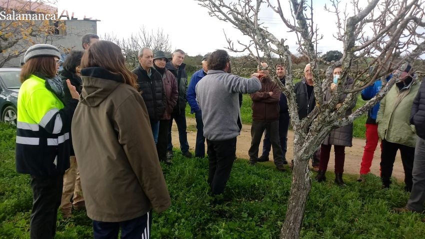 Éxito del taller de poda desarrollado en Lumbrales y promovido por Adezos y Adecocir