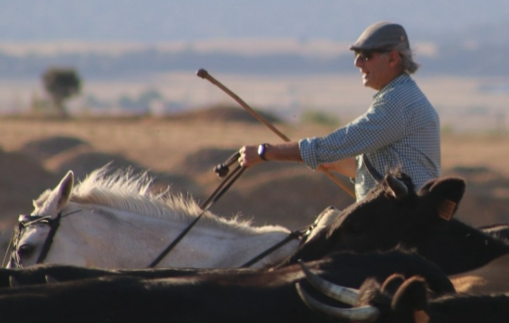Concedida a José Alberto Márquez Villarrubia ‘Pete’ la Garrocha de Plata 2023