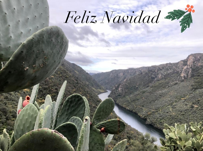 Castilla y León desaparece