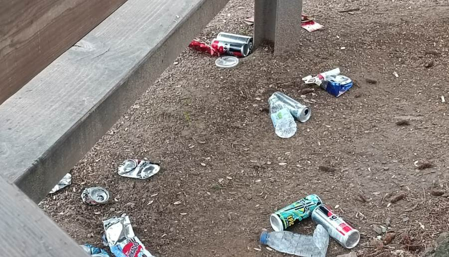 1Foto: Sin energía para llegar a la papelera