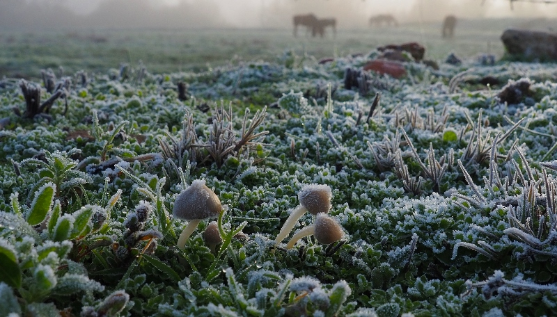Y de repente... el invierno
