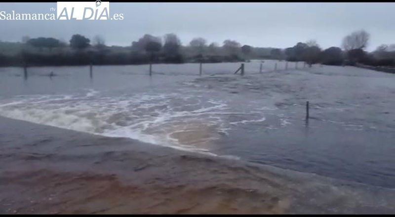 Las lluvias de la última semana dejan con este aspecto a los embalses de Salamanca