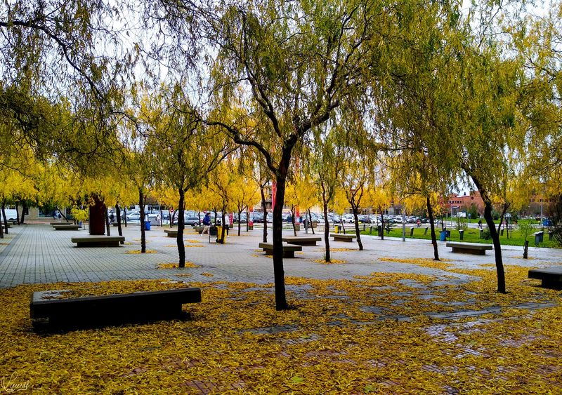 Otra cara de las vacaciones 