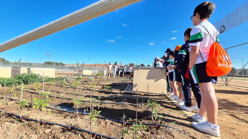 Cerca de 80.000 salmantinos participan en las más de 4.000 actividades culturales y educativas del Ayuntamiento