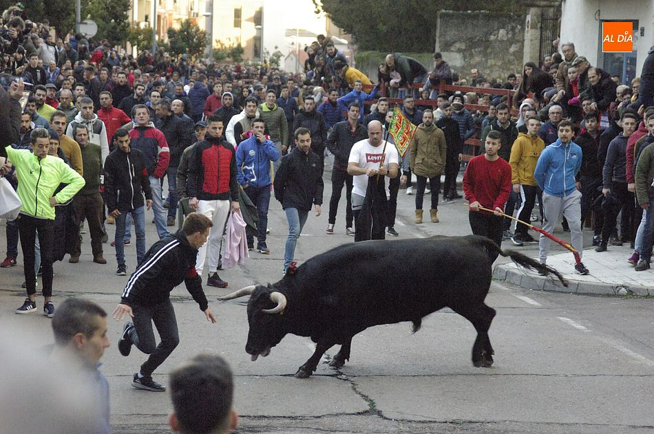 Vuelve el Toro de San Sebastián