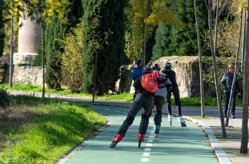 Un domingo para dejarse llevar  