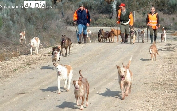 Convocan una manifestación en Salamanca contra la exclusión de los perros de caza en la Ley de Bienestar