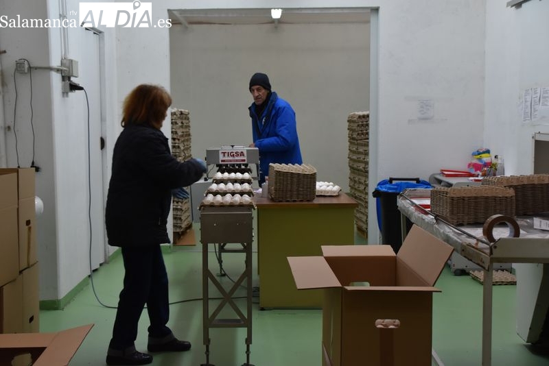 Este es el objetivo de la Gran Recogida del Banco de Alimentos 