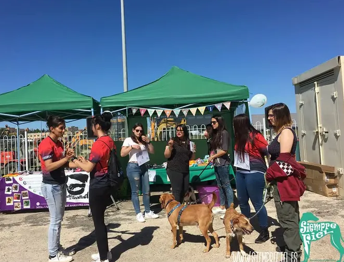 Las próximas actividades de la Protectora Siempre Fiel