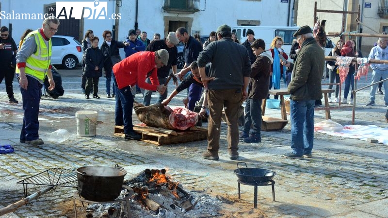 Lumbrales revive la matanza tradicional del cerdo con un ambiente festivo