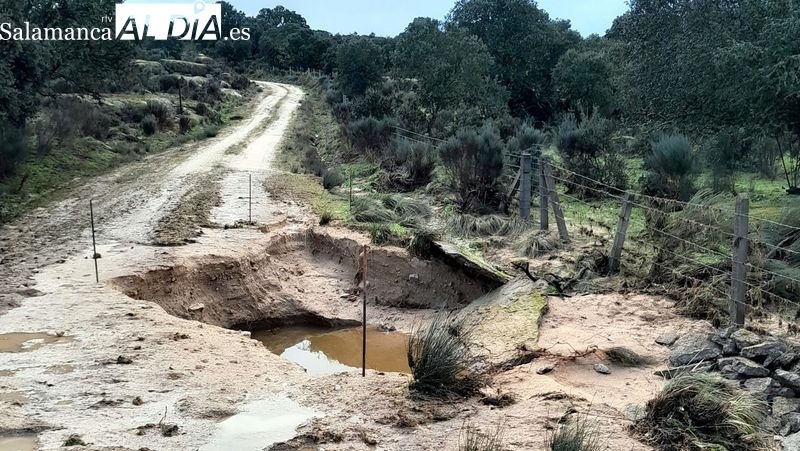 La Mancomunidad del Abadengo tramita las solicitudes de ayudas por los daños causados por las lluvias del domimgo