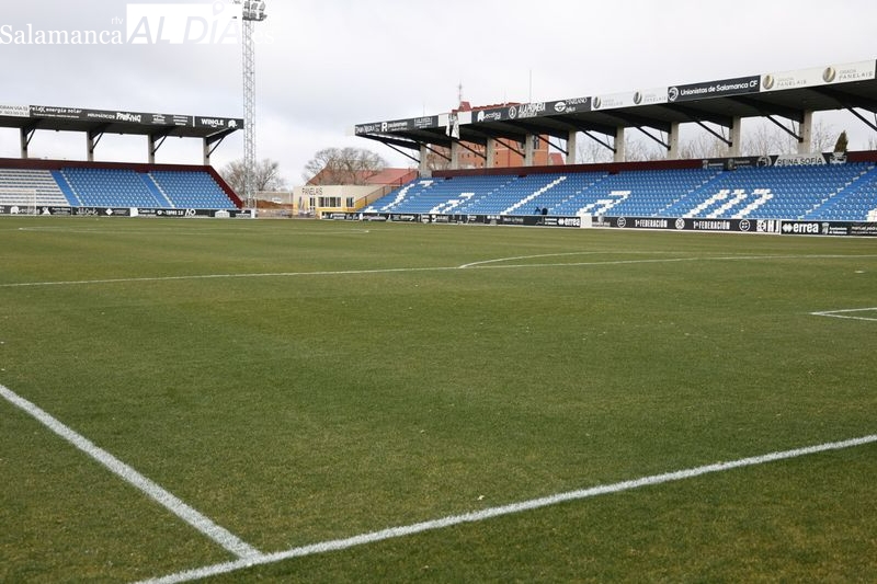 Así está el césped del Reina Sofía al resistir el frío salmantino