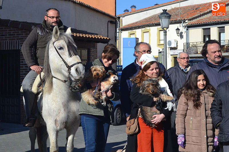 Macotera celebrará San Antón junto a fieles y vecinos este sábado