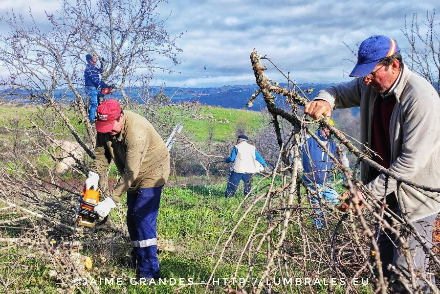 Nace en Puerto Seguro la iniciativa ‘Amadrina una almendrera’