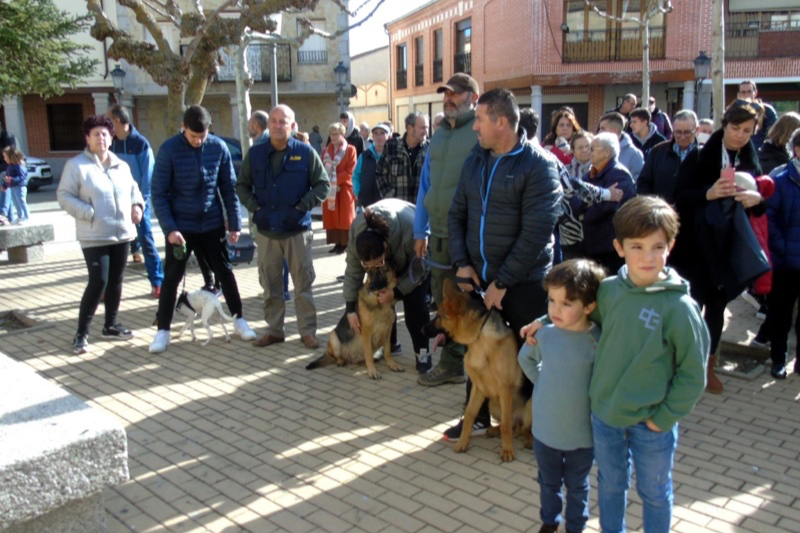 Numerosos vecinos participan en Macotera en la bendición de San Antón
