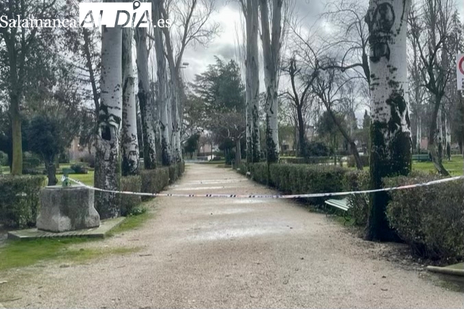 Cerrados los accesos al parque Los Jardines por las fuertes rachas de viento