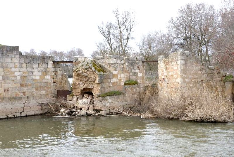 Rescatada en Zamora tras caer al río Duero y mantenerse a flote agarrada a una rama