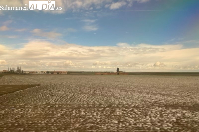 La nieve visita tímidamente Peñaranda y comarca 