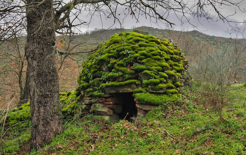 Nicho de protección