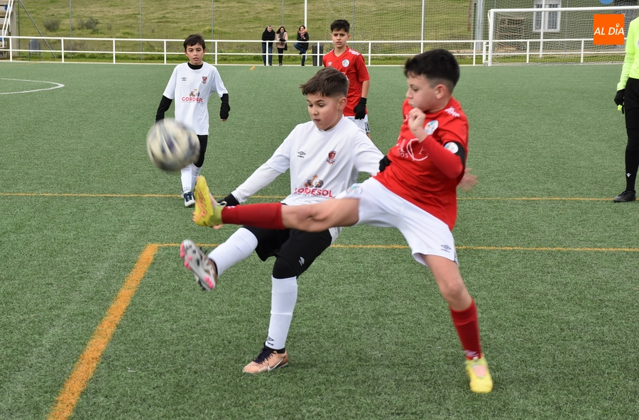 #M | 21-22 ENE | El Alevín A del Ciudad Rodrigo cae con uno menos por ‘exclusión temporal’ a puerta cerrada