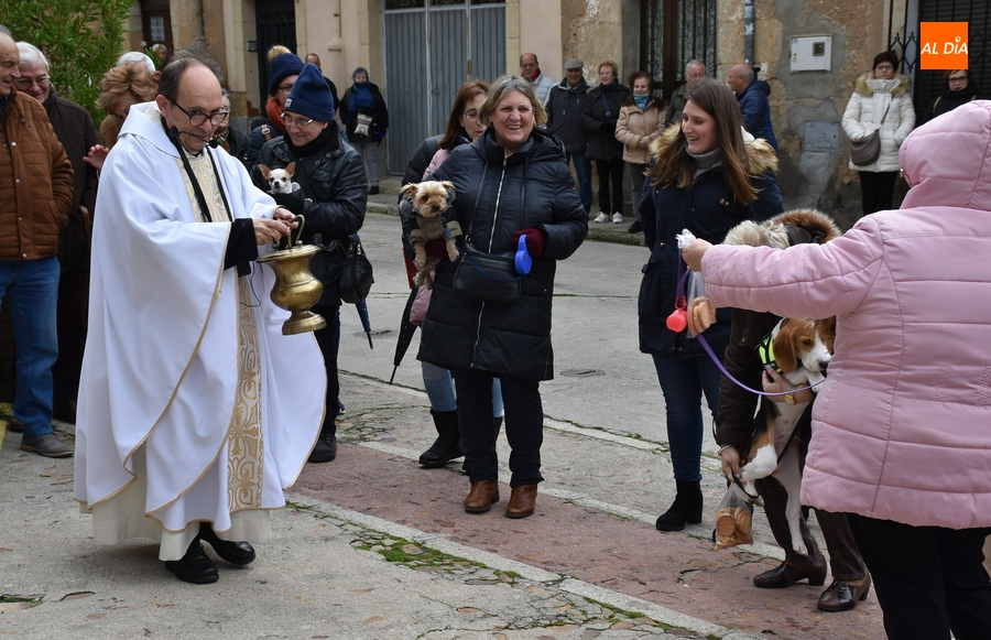 Una decena de perros recibe en San Andrés la bendición del patrón de los animales