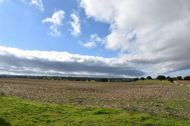 Cerrado por inventario
