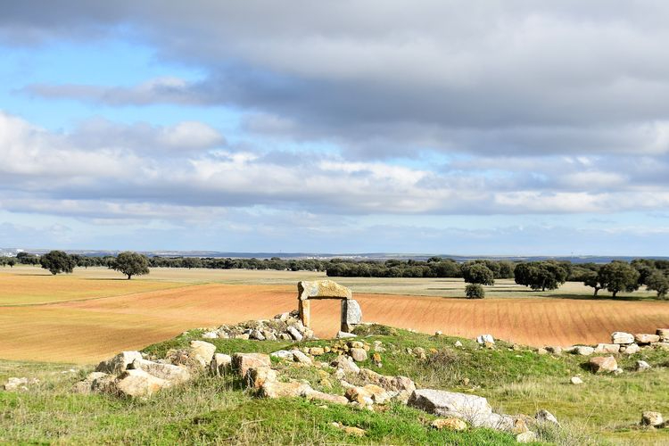 Puertas al campo