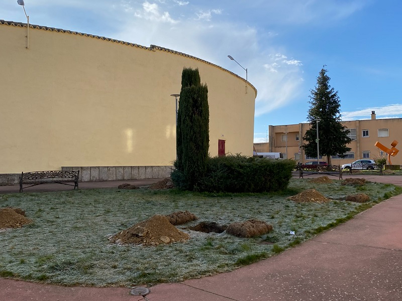 El entorno de la plaza de toros suma 18 árboles