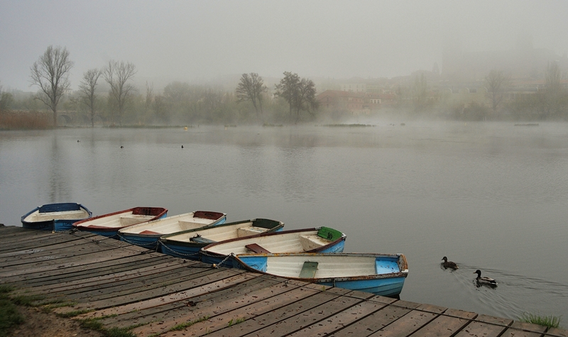 Cuando la mañana llega al alma 