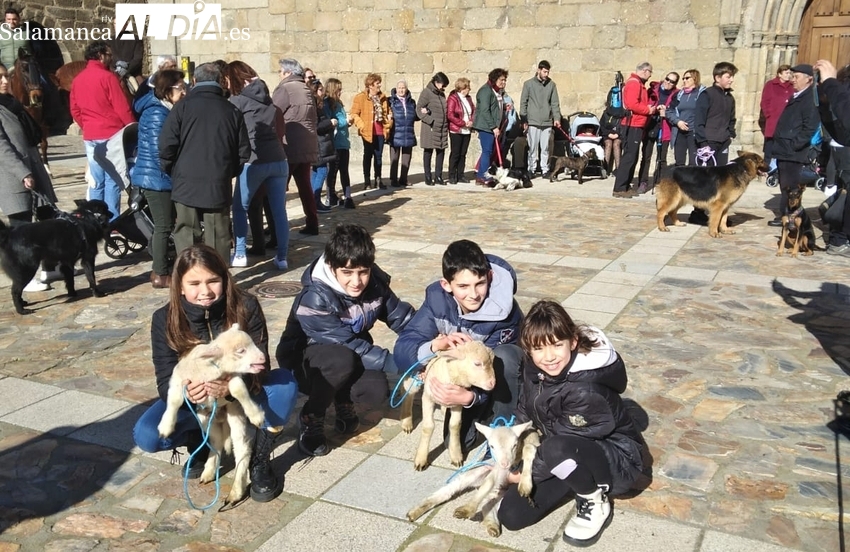 San Felices de los Gallegos celebra San Antón