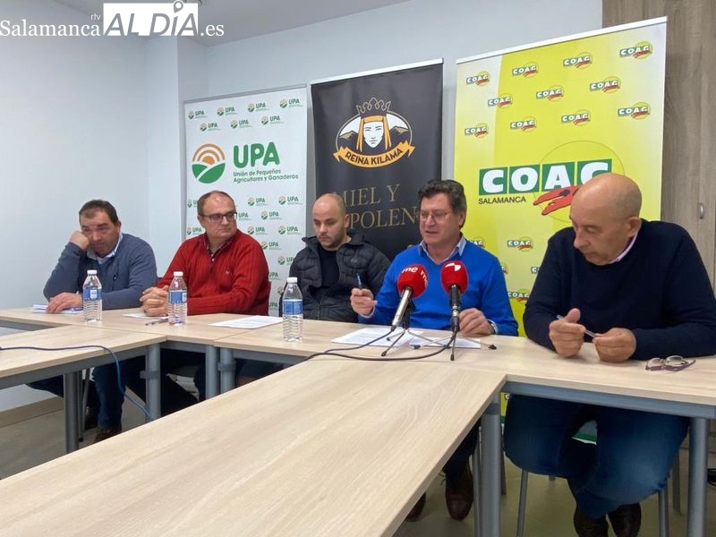 Una movilización en defensa de la apicultura recorrerá el centro de Salamanca