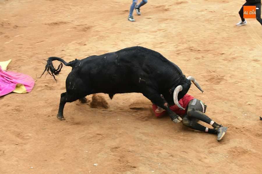 Multicía asegurará un año más el Carnaval