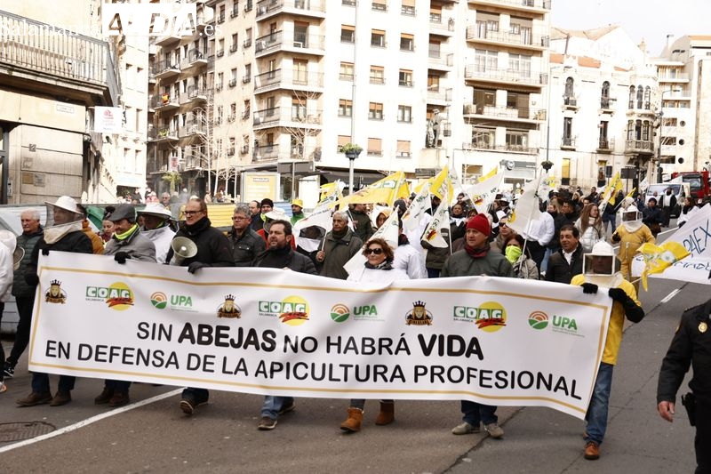 Apicultores salmantinos colapsan la Gran Vía para reclamar exigencias en el etiquetado