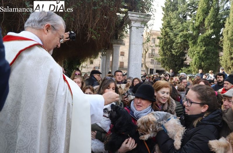 La popular bendición de los pequeños animales regresa al Campo de San Francisco