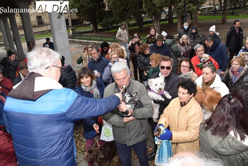 Salamanca recupera la popular bendición de los animales en el Campo de San Francisco
