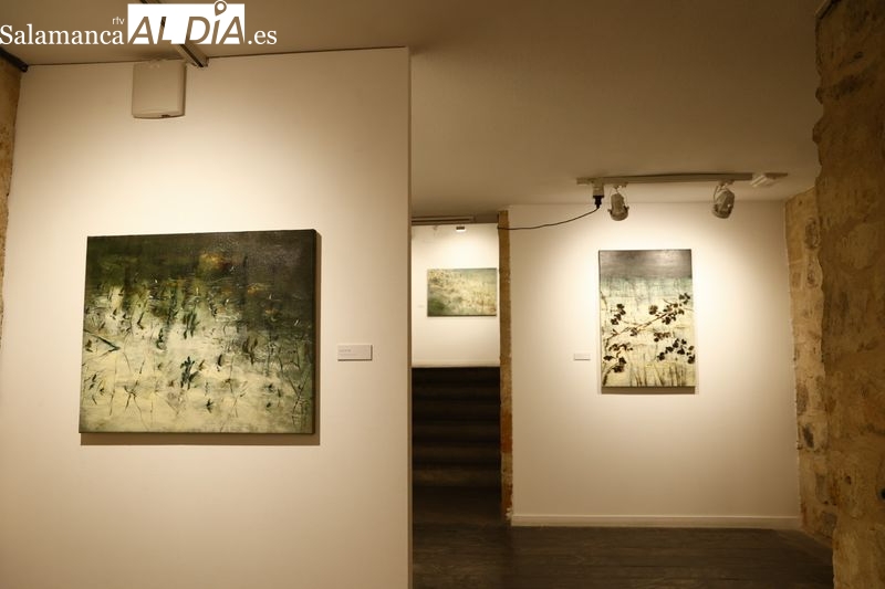 Ana Zaragozá muestra en La Salina su pintura inspirada la naturaleza