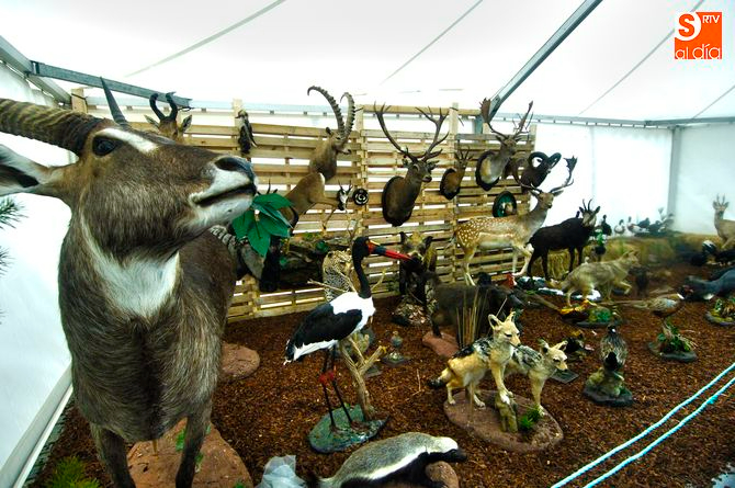 Vilar Formoso acogerá en febrero la 14ª Feria de Caza, Pesca y Desarrollo Rural de Almeida