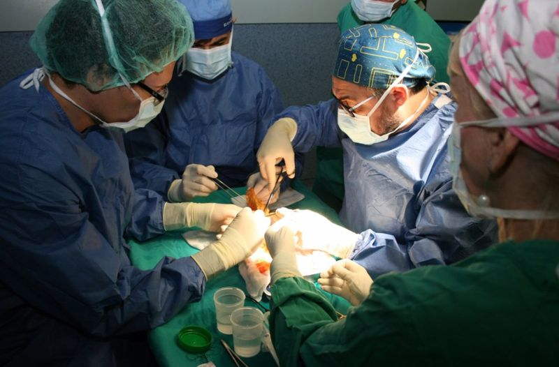 ¿Sabes que puedes donar órganos sin fallecer?