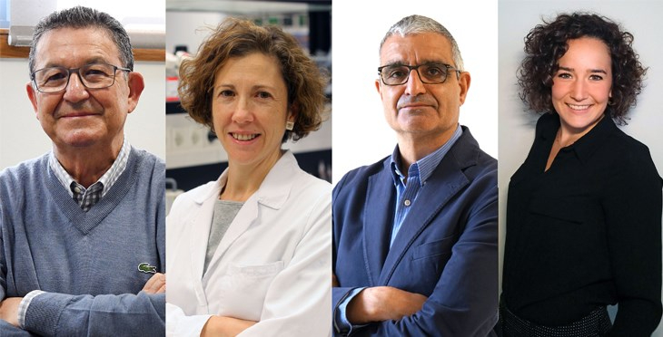 Investigadores salmantinos participan en un proyecto innovador para vencer a tumores