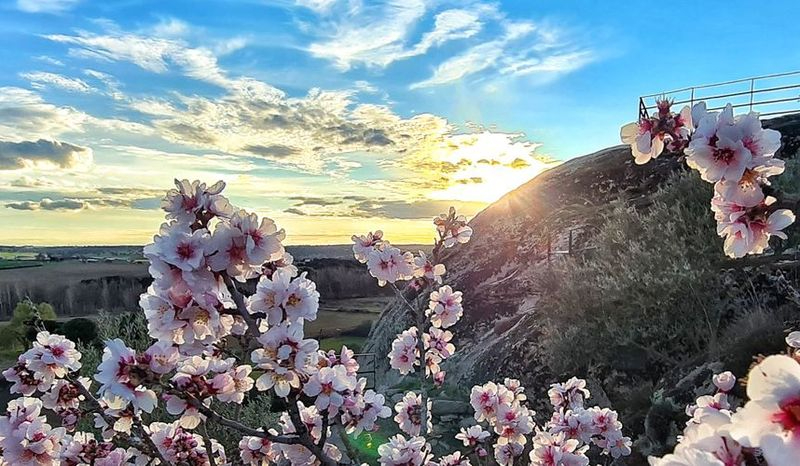 Los 4 proyectos salmantinos de modernización de mercados que impulsará el Gobierno de España