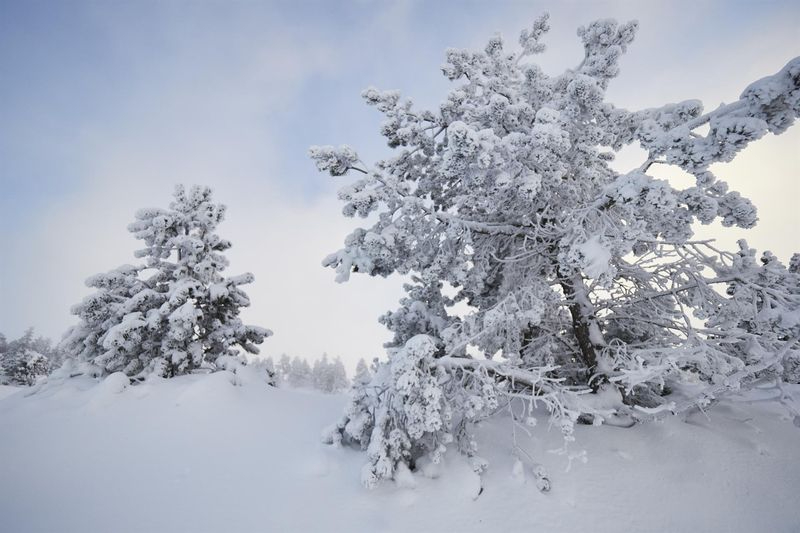 El tiempo invernal, con nevadas, frío y viento, llega a partir de este domingo