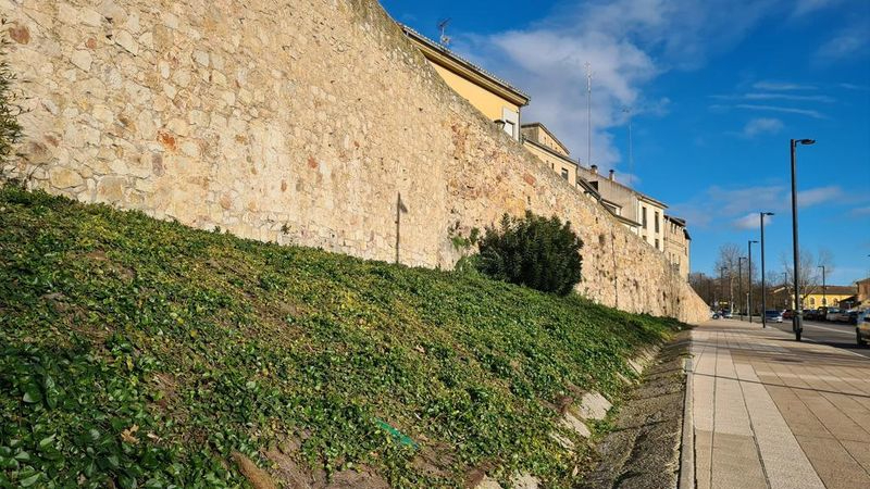 Mejora en estas zonas ajardinadas de Salamanca