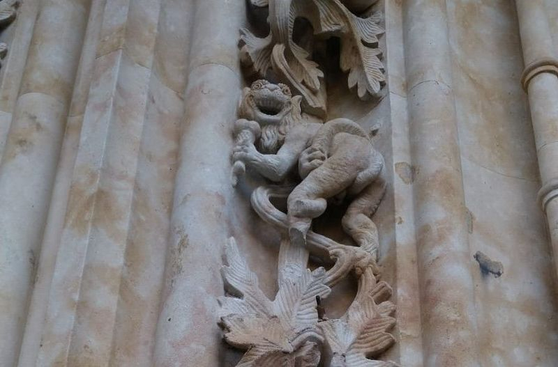 Piden la implicación de la Junta para reponer la pata rota del diablo de la Catedral Nueva de Salamanca
