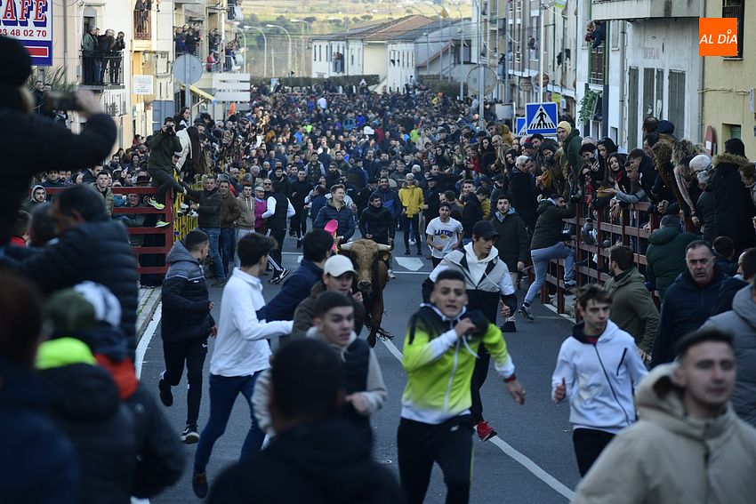 Regresa con enorme expectación el calentamiento taurino precarnavalero de Ciudad Rodrigo