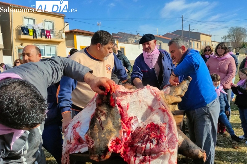 Mancera de Abajo recupera su ambientada Matanza Tradicional 