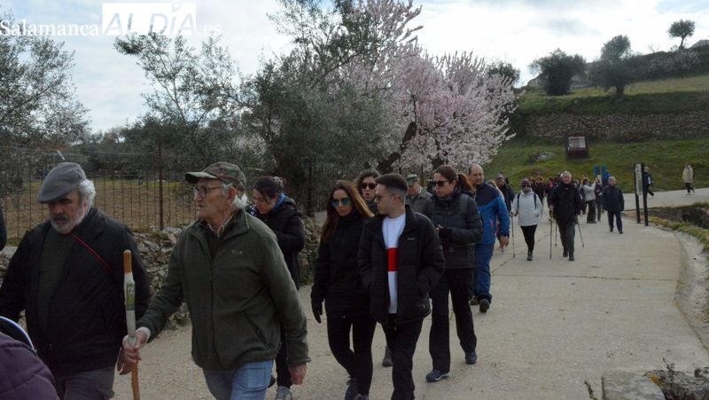 Doscientos senderistas disfrutan de la floración del almendro en La Fregeneda