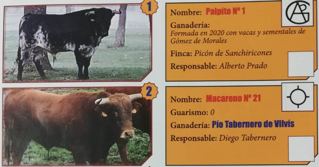 Desvelada la imagen de los 5 erales que protagonizarán la final del Bolsín