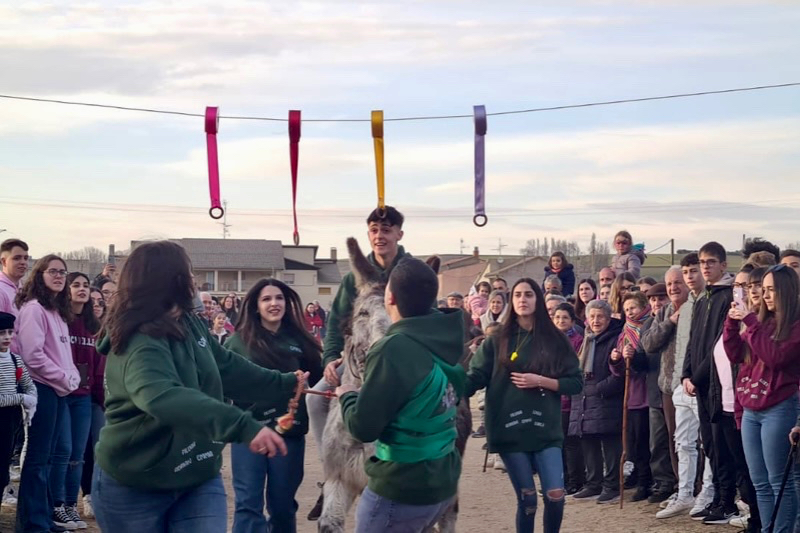 Los Quintos 2003 de Villoruela celebran su fiesta corriendo las cintas
