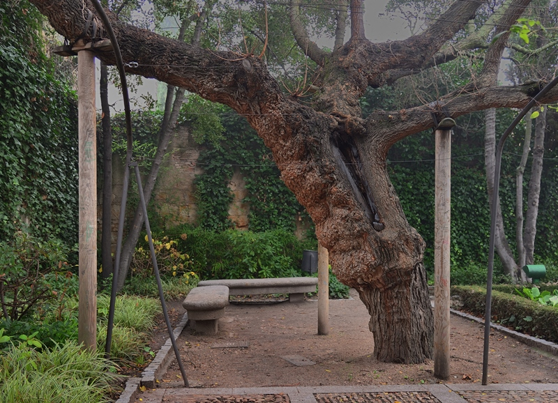 Ayuda para los mayores  